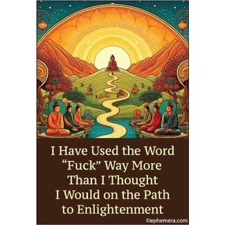 Ephemera Magnet - I have used the word "Fuck"