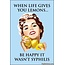 Ephemera Magnet - When life gives you lemons...