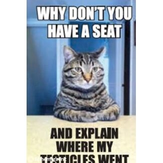 Ephemera Magnet - WHY DON'T YOU HAVE A SEAT