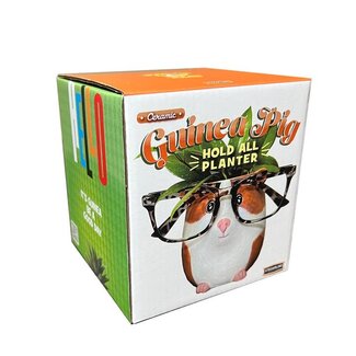 Guinea Pig Hold All/Planter