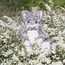 WRENDALE Esmeralda Cat-Large Plush
