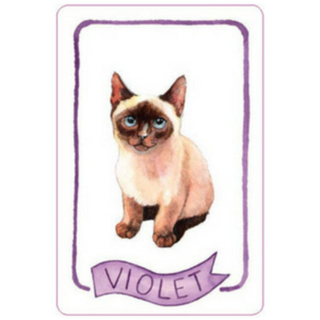 Cat Lady Old Maid