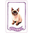 Cat Lady Old Maid