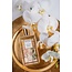 Mistral Luxe Shower Gel 8.7 fl oz - Flora Cassis
