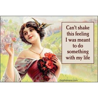 Ephemera Magnet - I Can't Shake The Feeling