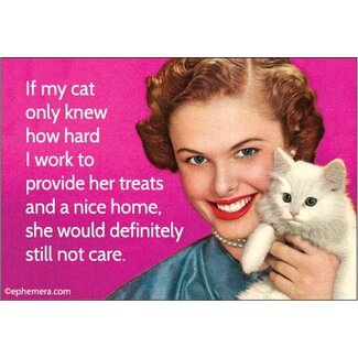 Ephemera Magnet - If My Cat Only Knew