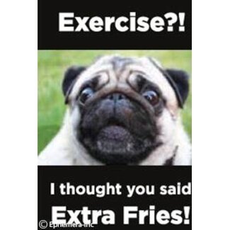 Ephemera Magnet - Exercise?!