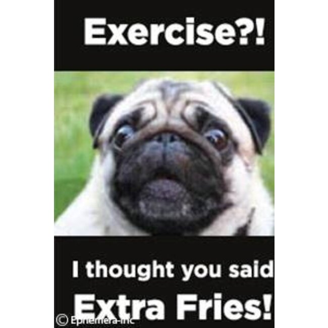 Ephemera Magnet - Exercise?!