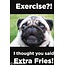 Ephemera Magnet - Exercise?!