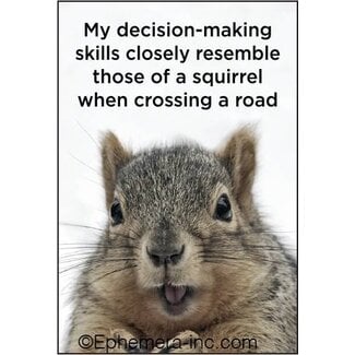 Ephemera Magnet - My Decision-Making Skills
