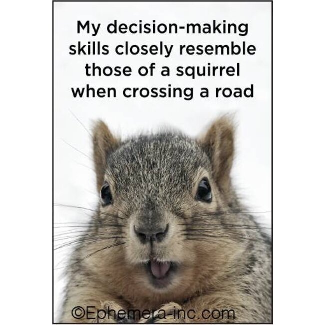 Ephemera Magnet - My Decision-Making Skills