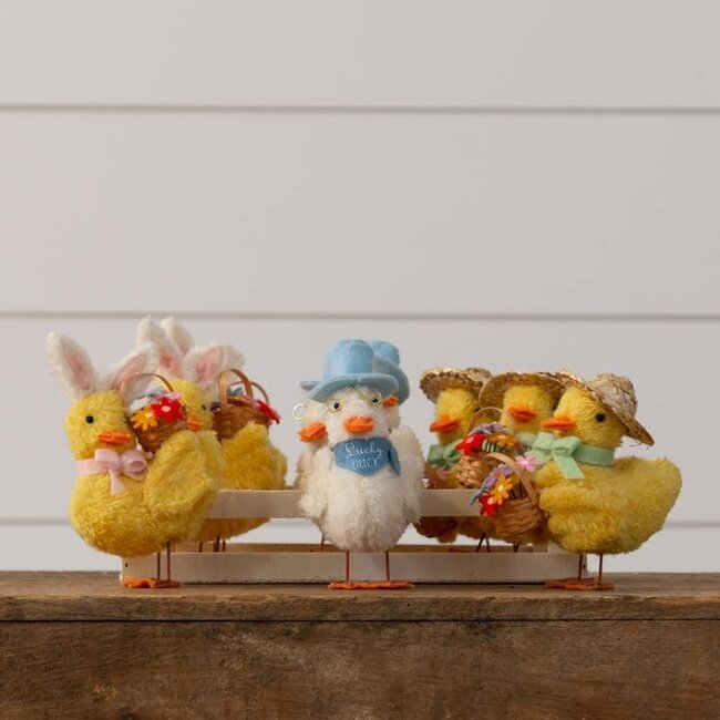 Spring time Ducks (more designs)