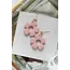 Petal & Posy Groove Earrings in Fresco