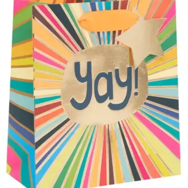 Medium Bag - Ps Yay Rays
