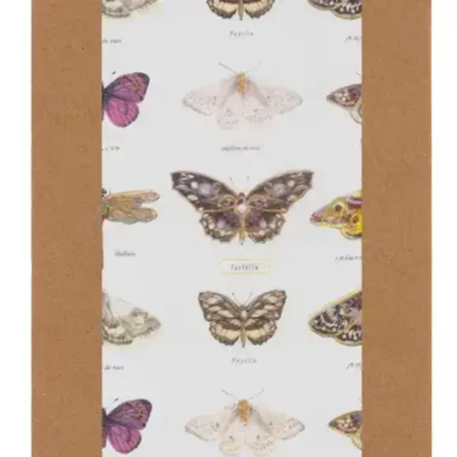 Tissue Butterfly Collection Stephanie Davies
