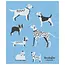 Danica Imports Sponge Cloth Dog Days