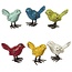 Mini Colorful Birds (more colours)