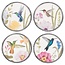 Round Hummingbird Wall Decor (more designs)