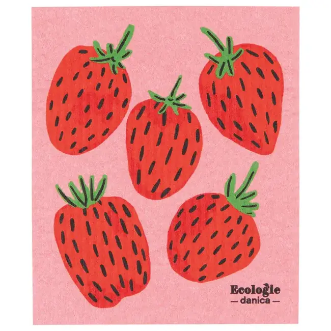 Danica Imports Berry Sweet Sponge Cloth