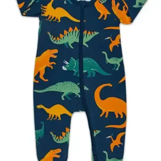 Dinosaurs, Blue Baby Pajamas