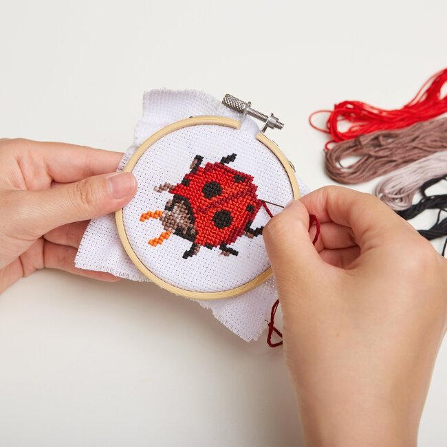 Mini Cross Stitch Kit Ladybug