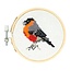Mini Cross Stitch Kit Bird