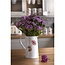 WRENDALE Wrendale - 2 Pint Jug - Mouse