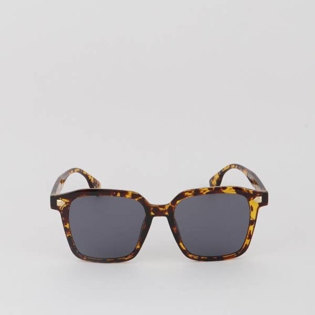 Paula - Square (more colours)