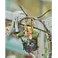Fable England Flopsy Bunny Huggie Earrings