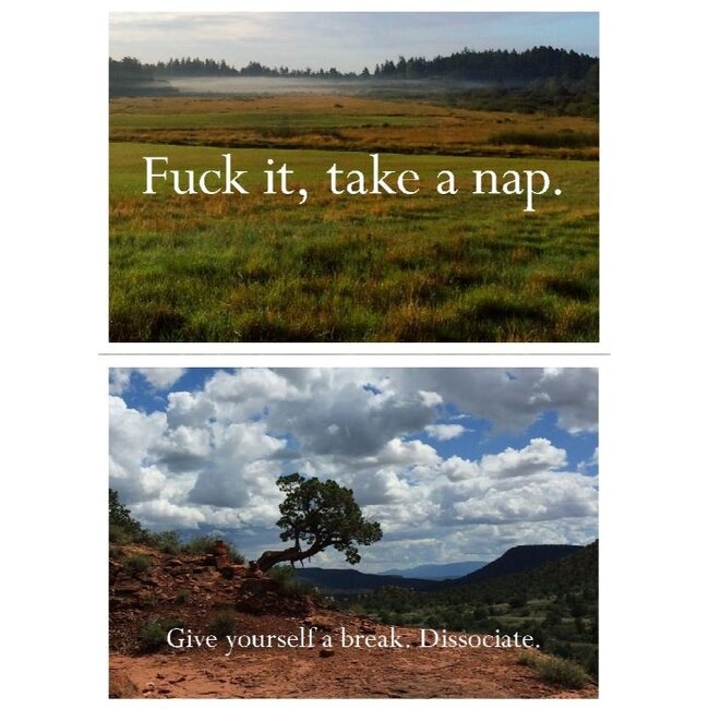 Disappointing Affirmations Stickers