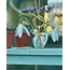 Fable England Peter Rabbit Flopsy Necklace