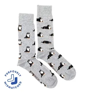 Friday Sock Co. Men's Bernese Mountain Dog Socks