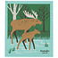 Danica Imports Moose Lake Swedish Sponge Cloth