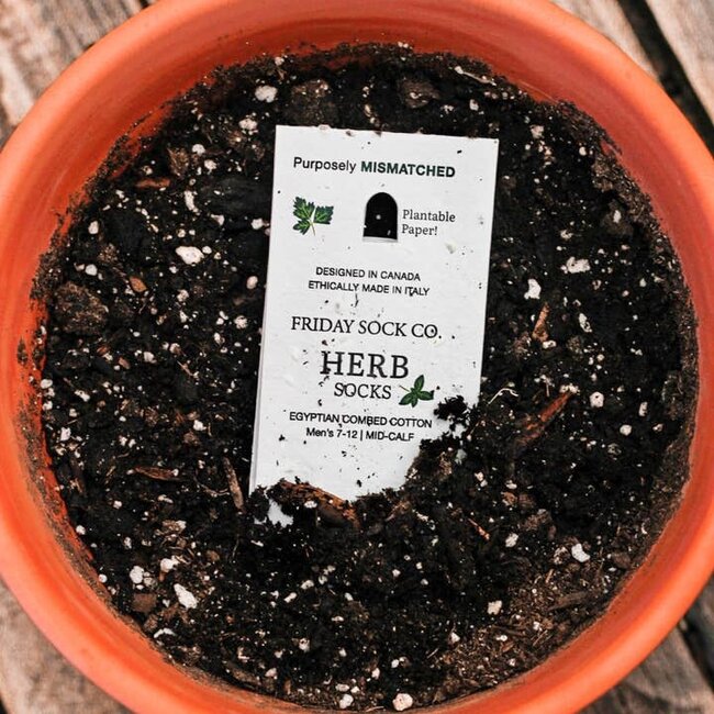 Friday Sock Co. Women's Peony Socks