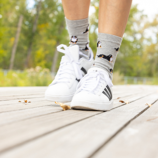 Friday Sock Co. Women's Bernese Mountain Dog Socks