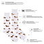 Friday Sock Co. Men's Hot Dog Wiener Dog Socks