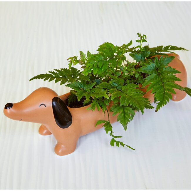 Daisy The Dachshund  Planter