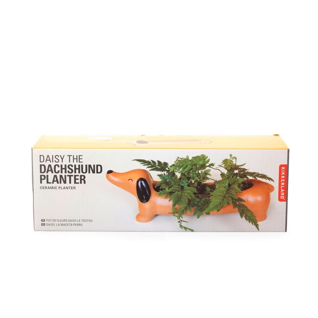 Daisy The Dachshund  Planter