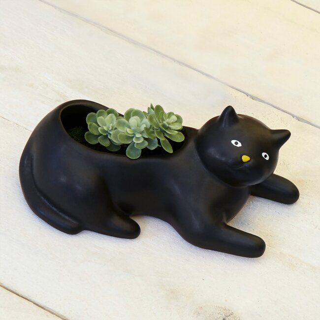 Cosmo The  Black Cat Planter