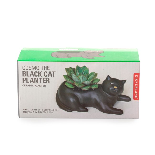 Cosmo The  Black Cat Planter