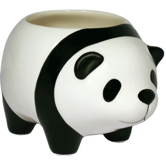 Panda Plant
