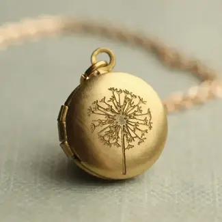 Silk Purse, Sow's Ear Tiny Brass Round Locket Necklace