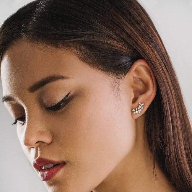 Lover’s Tempo Stardust Climber Earrings - Clear
