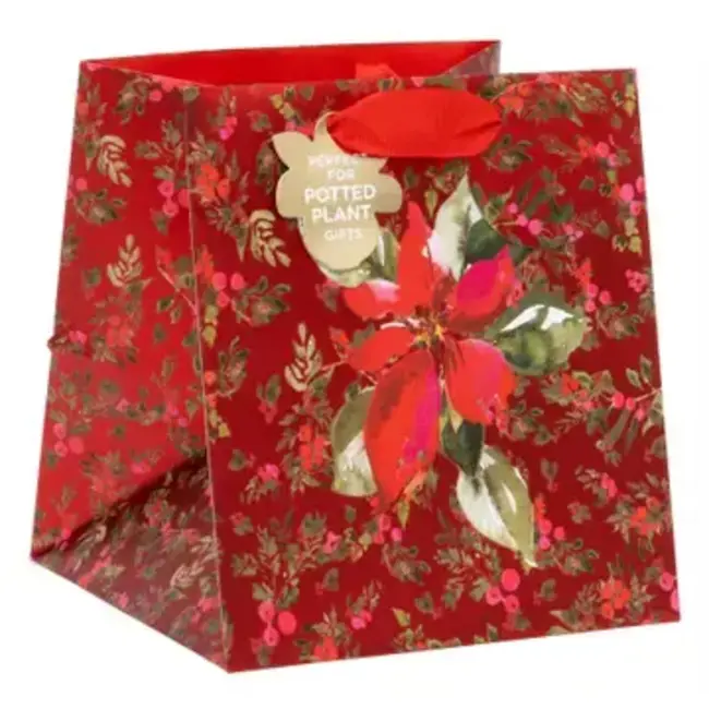 Bag - Plant - Perfect Poinsettia Red