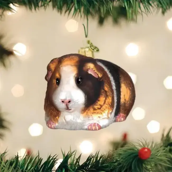Christmas Ornament - Guinea Pig