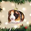Christmas Ornament - Guinea Pig