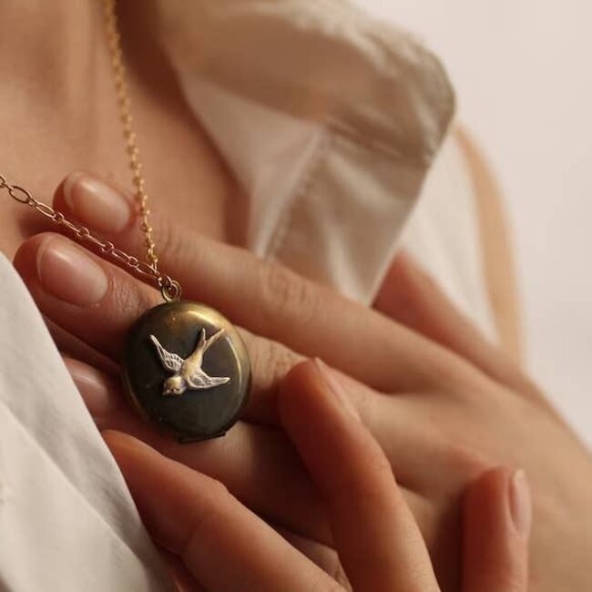 Silk Purse, Sow's Ear Antiqued Brass Bird Locket