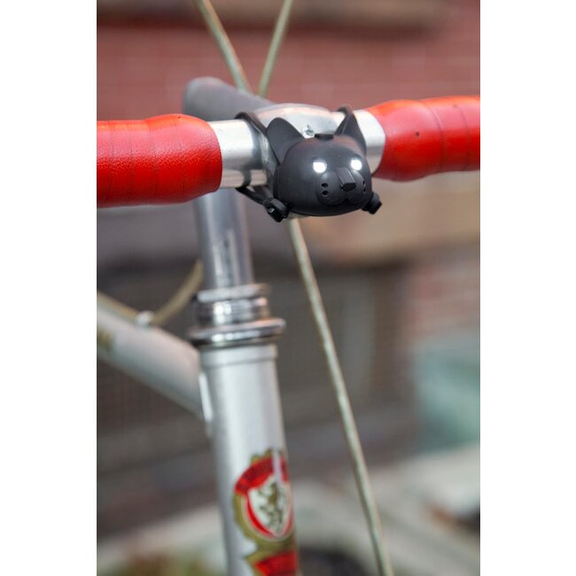 Bike Light Cat