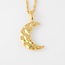Shirleybird Hammered Moon Necklace (more colours)
