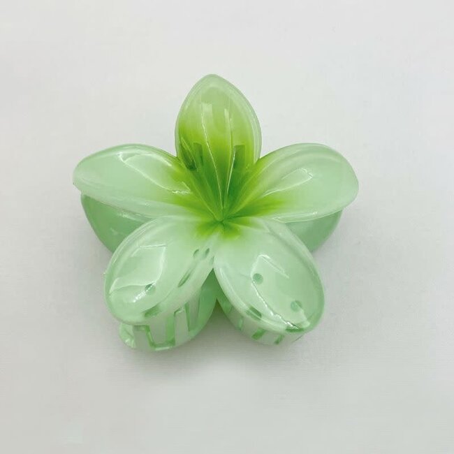 E&S Accessories Plumeria Hair Claw (more colours)